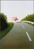 highway-pig-by-sowa-sm