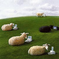 sheepwith-lap-tops-by-sowa-sm