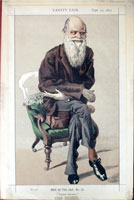 caricature-of-charles-darwin-from-vanity-fair-magazine-by-james-sm