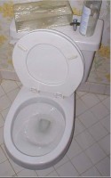 Flush-Toilet