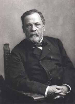 Louis pasteur что открыл