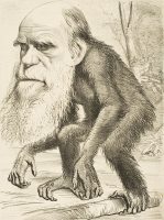 Charles Darwin and the Origins of Evolution Theory